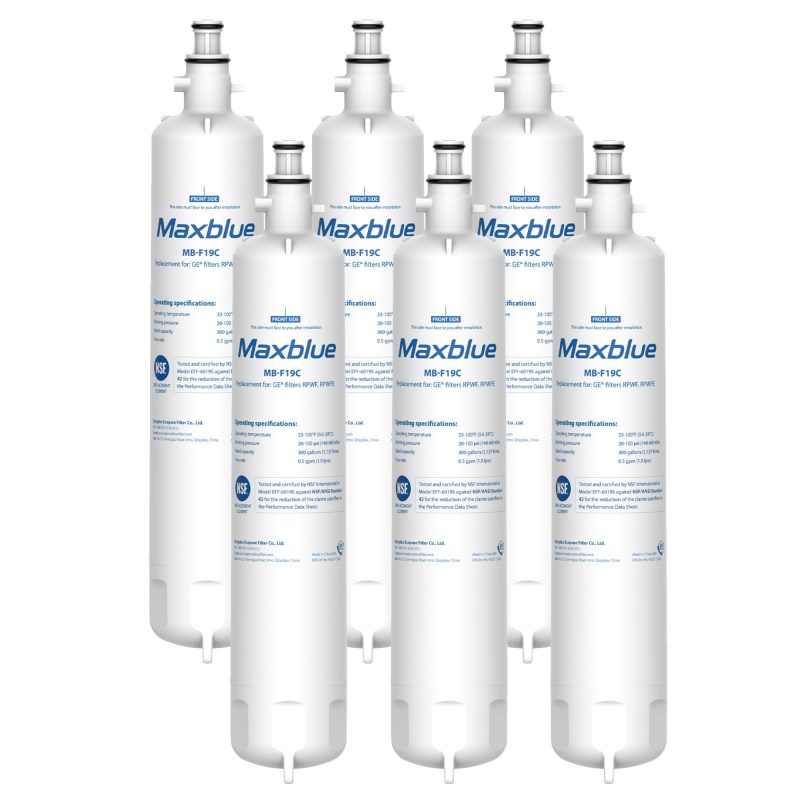 MaxblueRPWFEWaterFilter 6PACKS