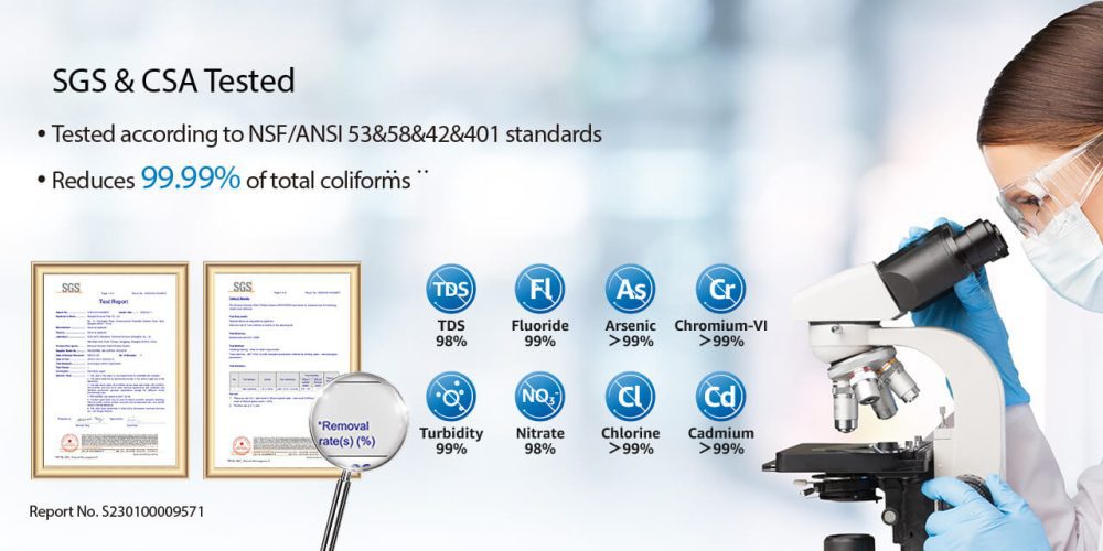 wd-product-g3p800-overview